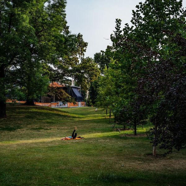 Person meditating in a green park, symbolizing mental clarity and focus.